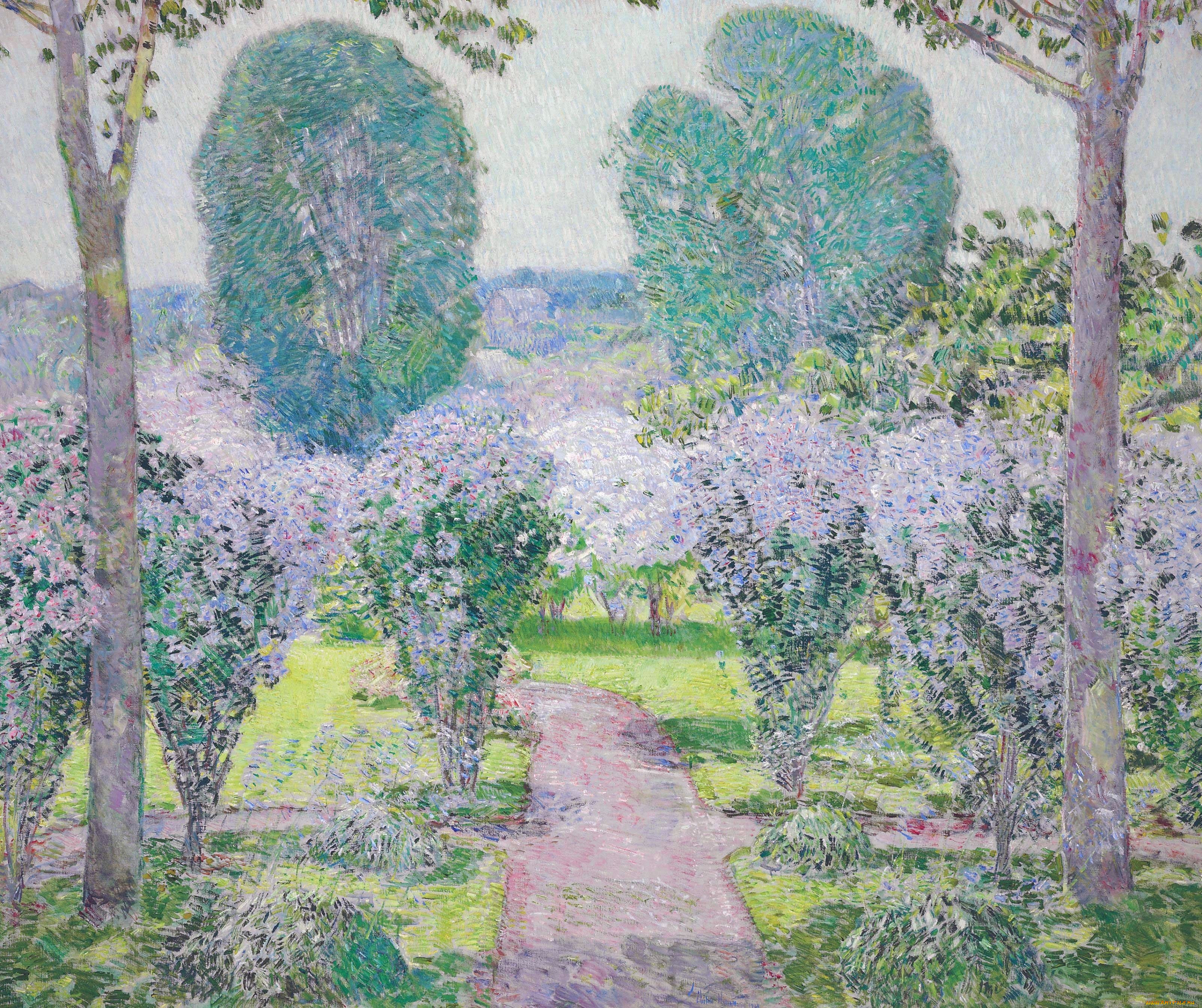 altheas, , frederick childe hassam, , , , , 